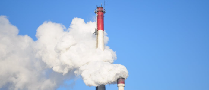 5 Tips to Reduce Your Carbon Footprint: How to Make a Difference